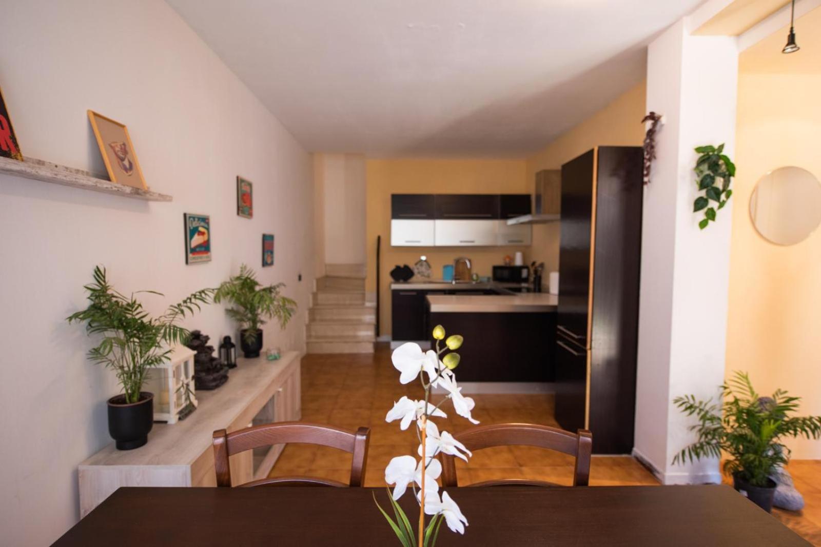 Hotel Gardenhouse - Wifi And Garden Verona Exterior foto